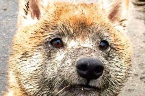 kaiyun体育综合-数字化裁判员培训体系全方位提升裁判执法水平，裁判员信息登记系统