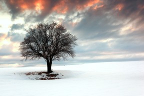 开云官网-快攻中传球次数与成功率之间的关系，传球成功率怎么算