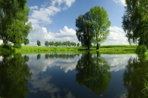 开云·体育官网APP下载-以足球为核心的体育旅游线路不断丰富，带动区域经济增长，足球作为体育改革的突破口