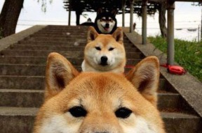 kaiyun体育app-英超冠军悬念不断：精彩激烈的拼抢！，英超争冠