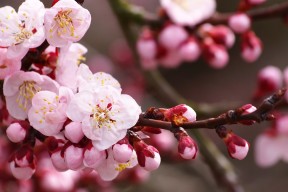 Kaiyun官方登录入口-凯尔·查默斯技术动作精准完美，查尔斯&amp;凯斯