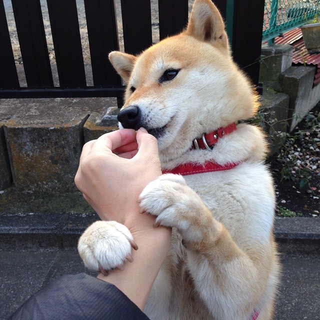 CBA联盟在全国推动篮球文化多层次建设,cba联赛的意义