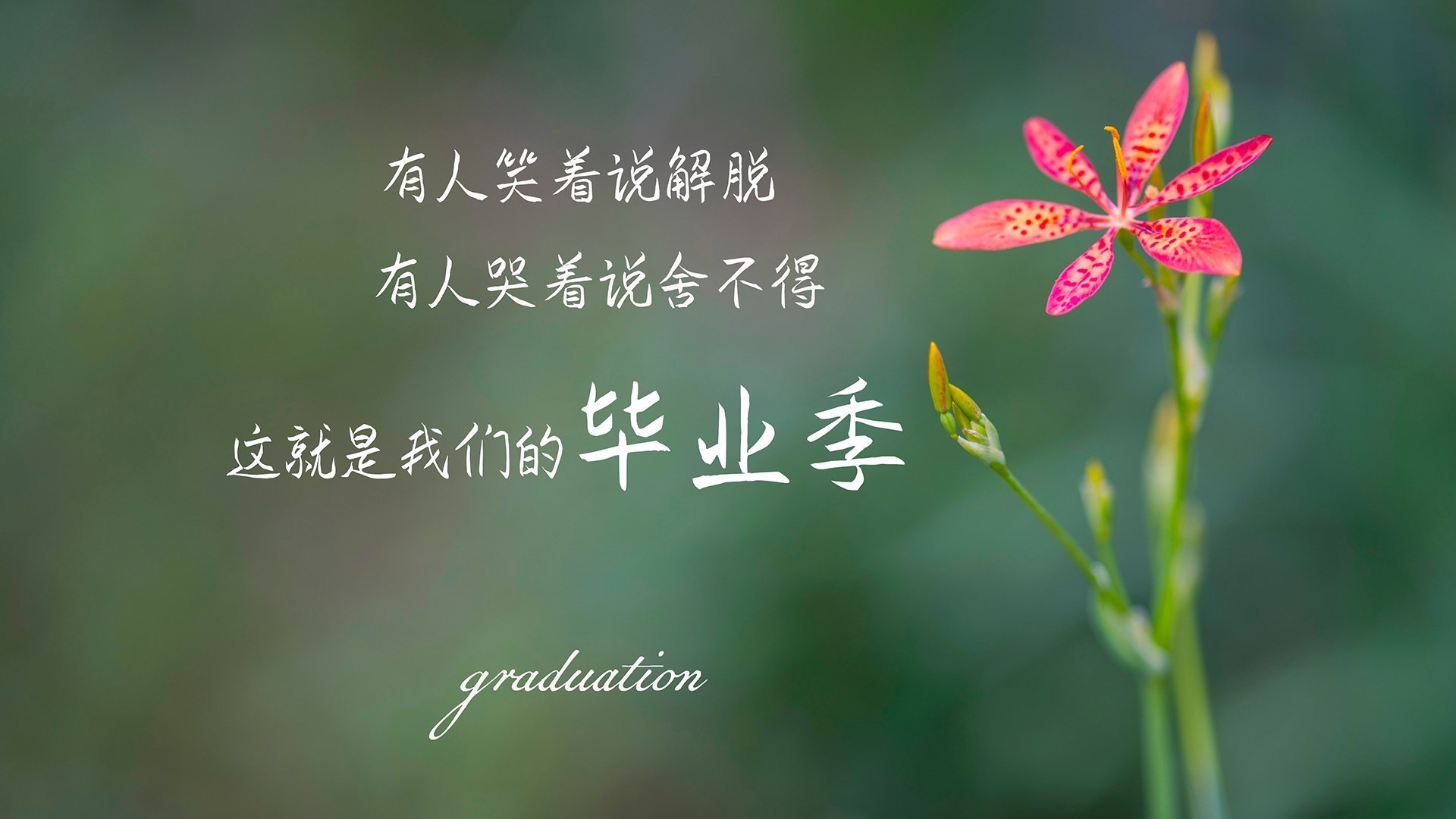 “武汉马拉松赛道,冠军争夺战一触即发”