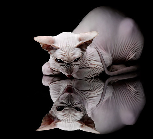 中国女篮完善阵容结构 多点得分格局初成,中国女篮队队员名单照片