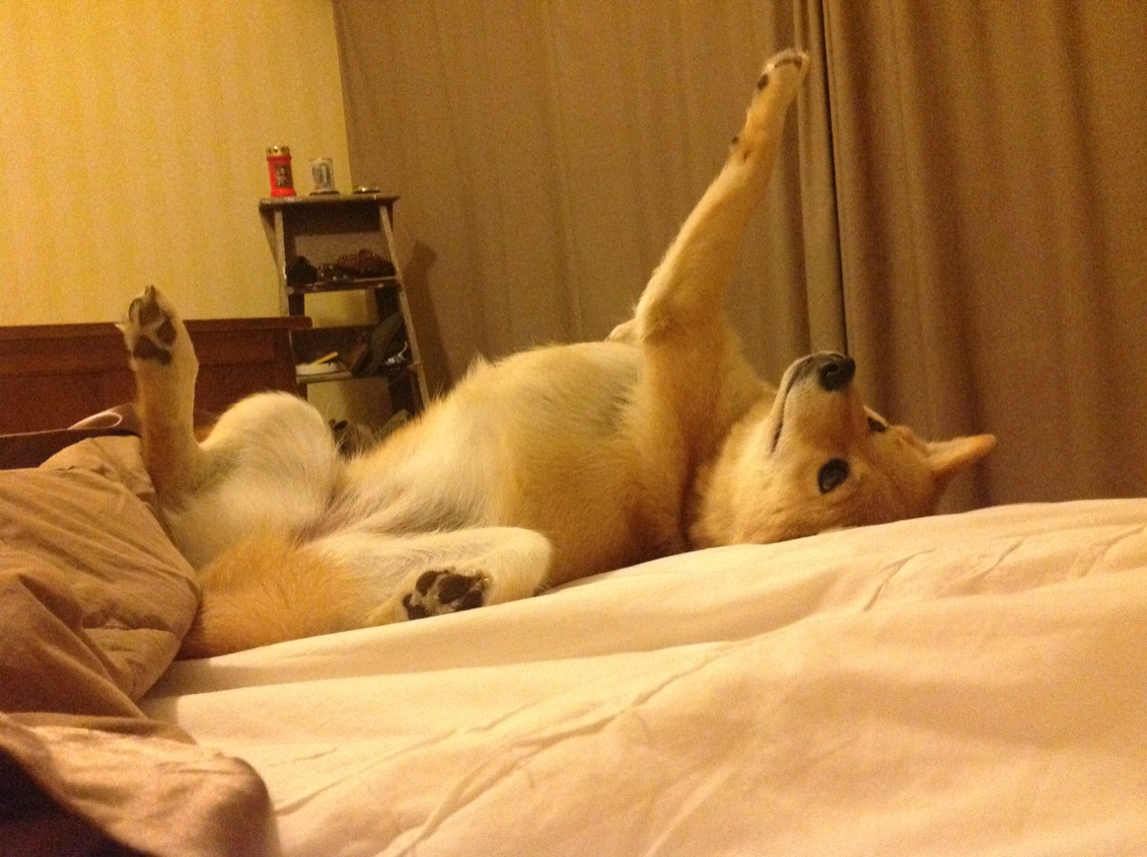 五大联赛是否在逐步削弱传统中锋作用,五大联赛会不会再次停摆