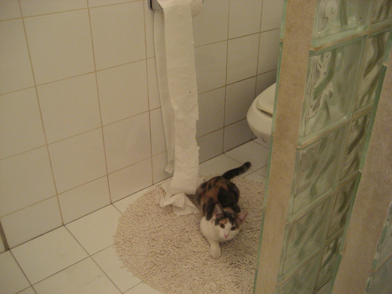 埃及队未来展望:发挥团体优势,迎接更大挑战,埃及球队实力