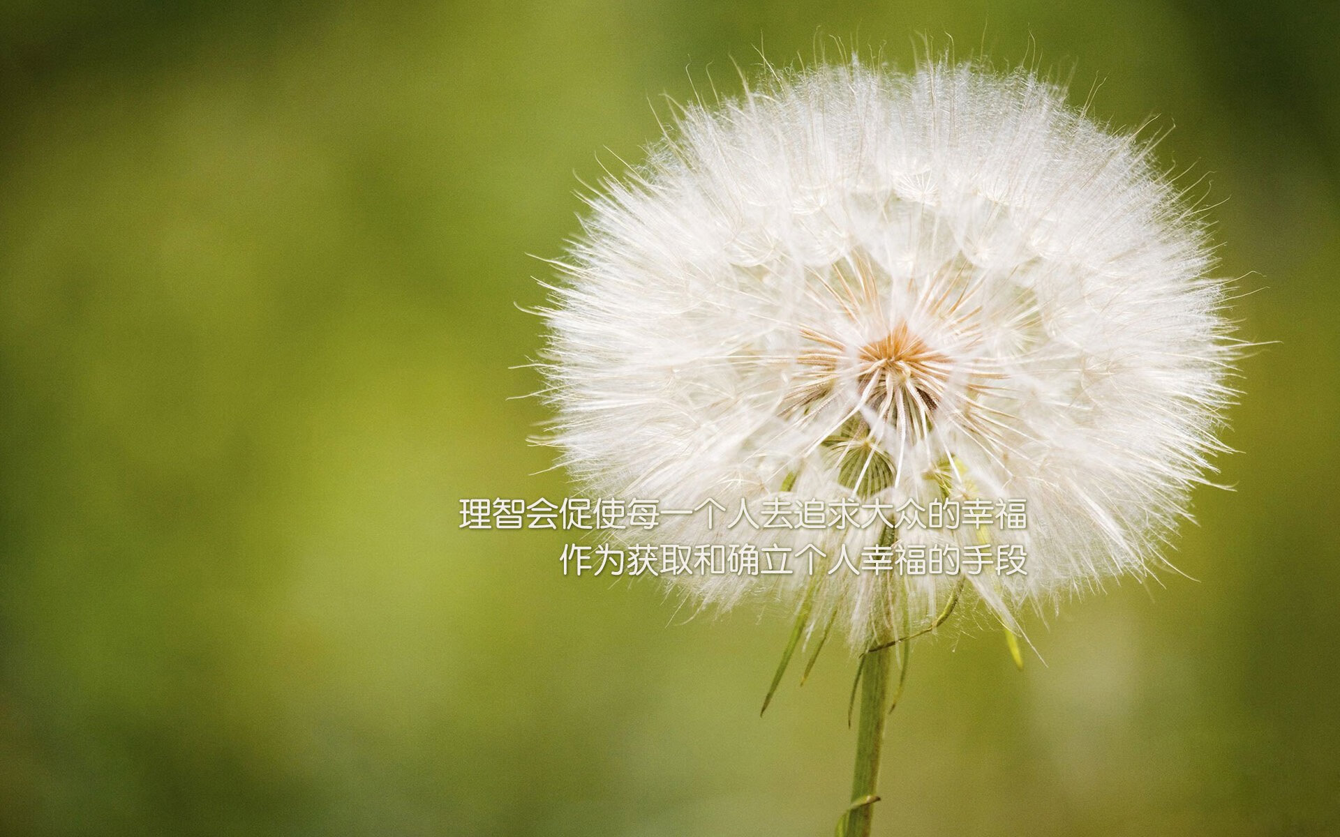 天府新区:湖滨赛场点燃全民运动热情,淮南未来高铁线路规划