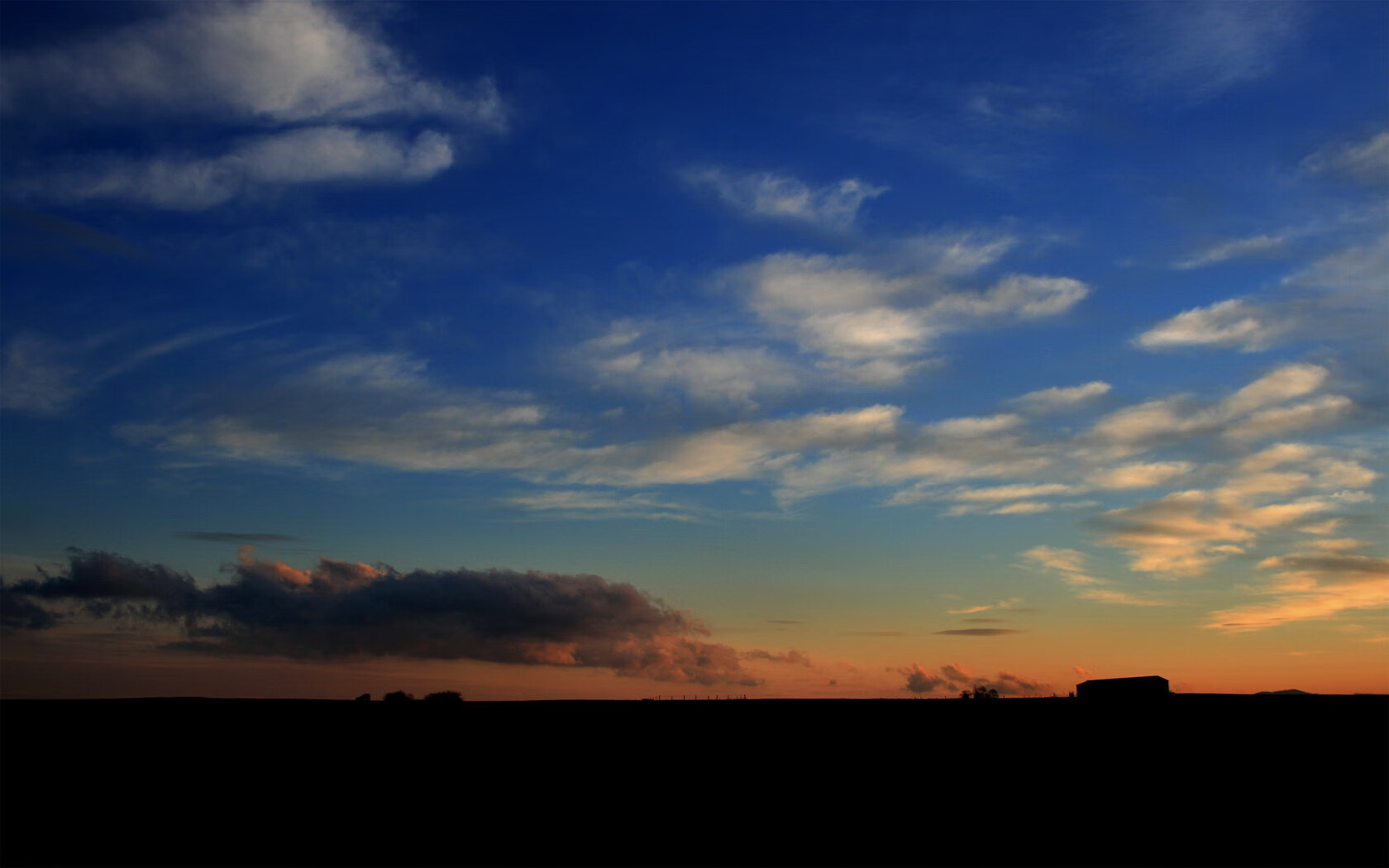 蛙泳技术结构分析:谁更高效?,蛙泳的基本技术有哪些