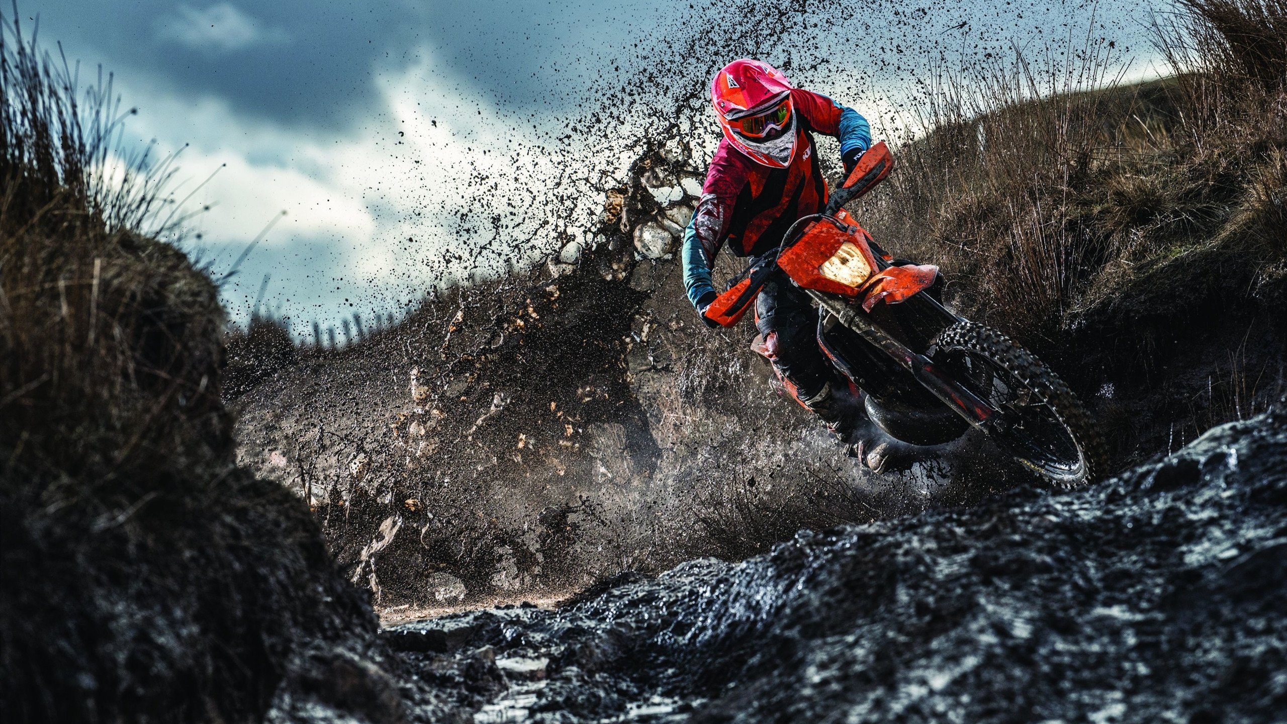 蛙泳技术结构分析:谁更高效?,蛙泳的基本技术有哪些