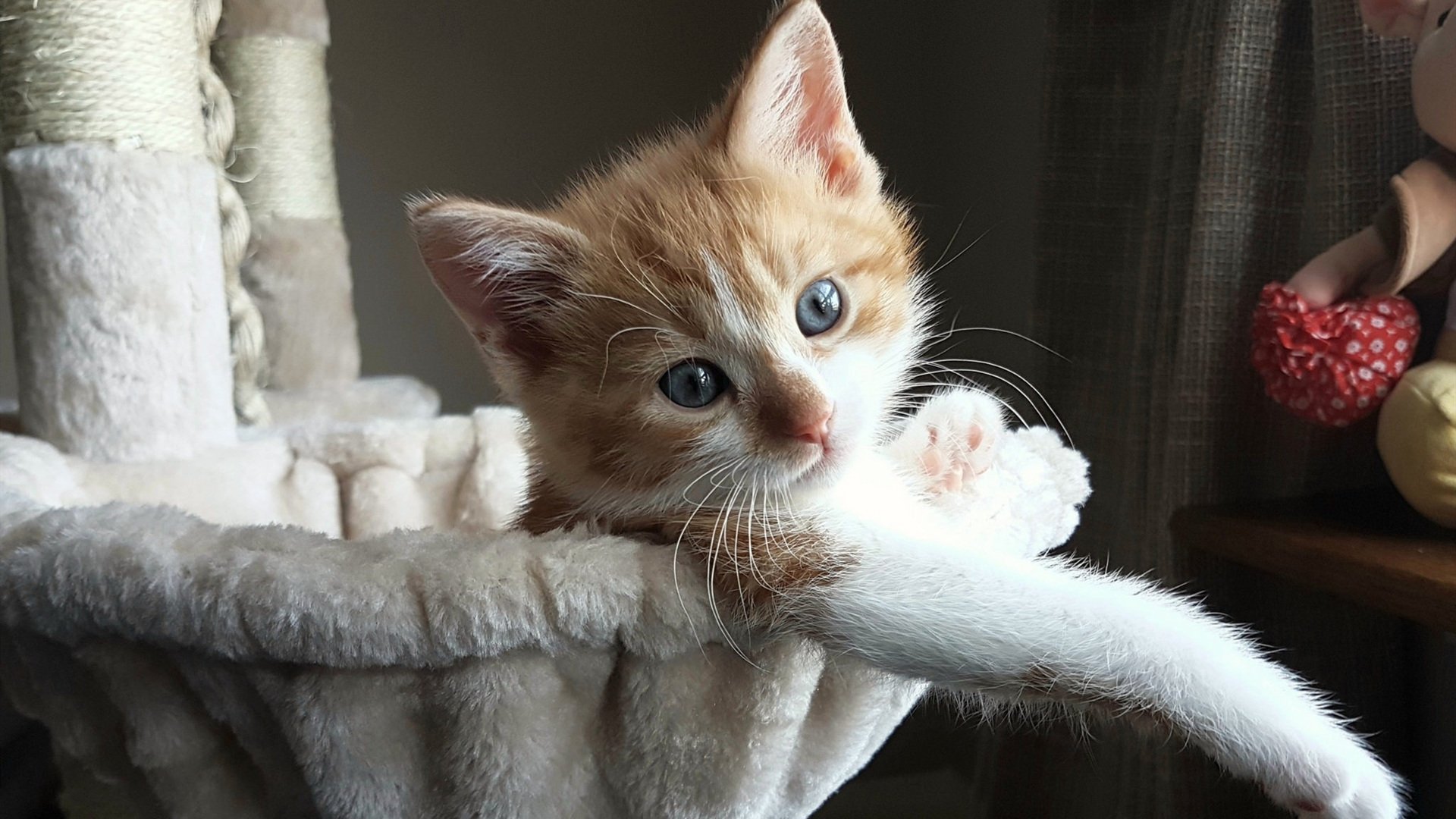 训练系统智能化全面覆盖队伍建设,智能训练岗