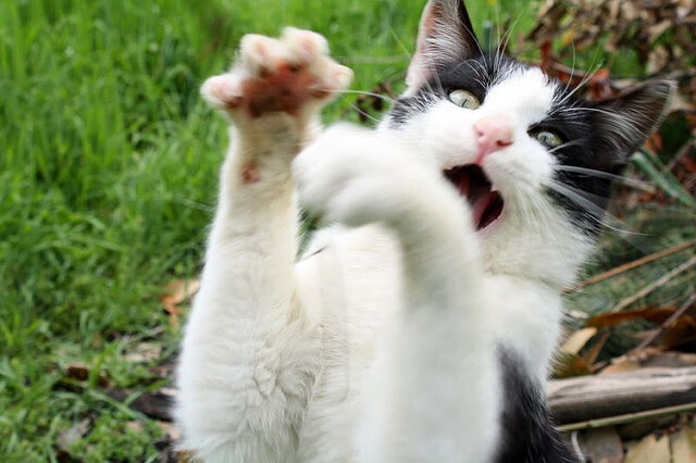 76人教练团队设置小组战术讨论提升参与感,76人的教练