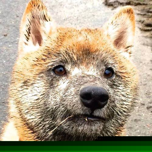 世界杯激情激荡:每一秒都令人心跳加速,世界杯激情歌曲