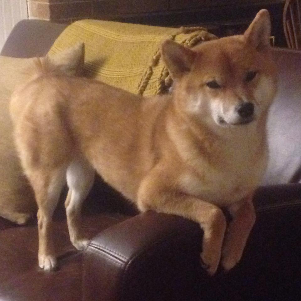 中国篮球文创产品受年轻人欢迎拓展品牌边界,中国篮球文化