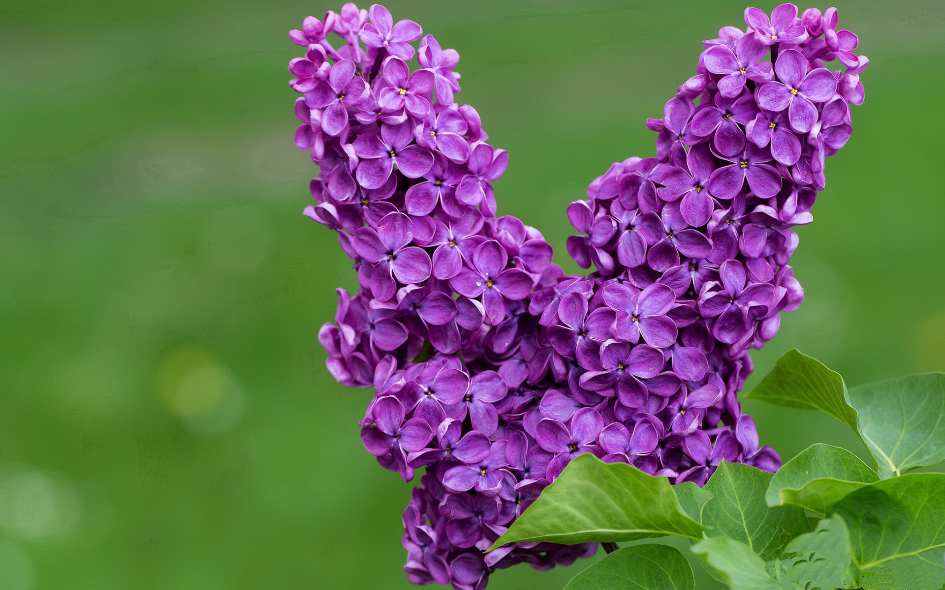 各国积极推动女子足球崛起,国际比赛频频亮相,女子国家足球队
