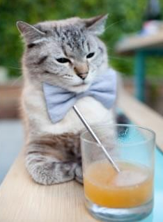 德甲火线对决:官网瞬间成现场焦点