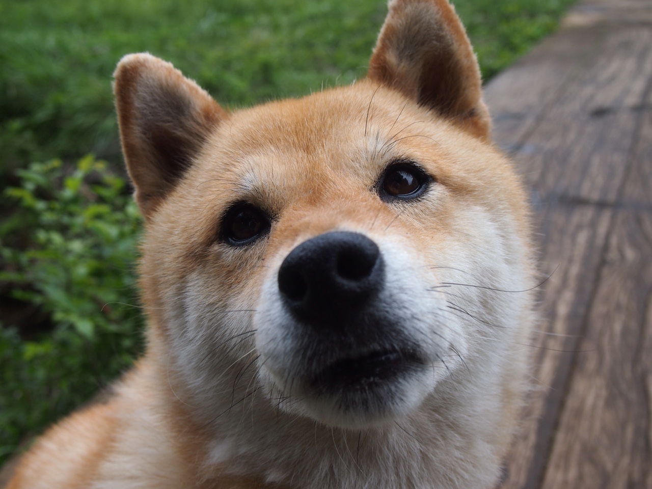 曼联刷新赛会纪录欧冠淘汰赛,曼联欧冠出线