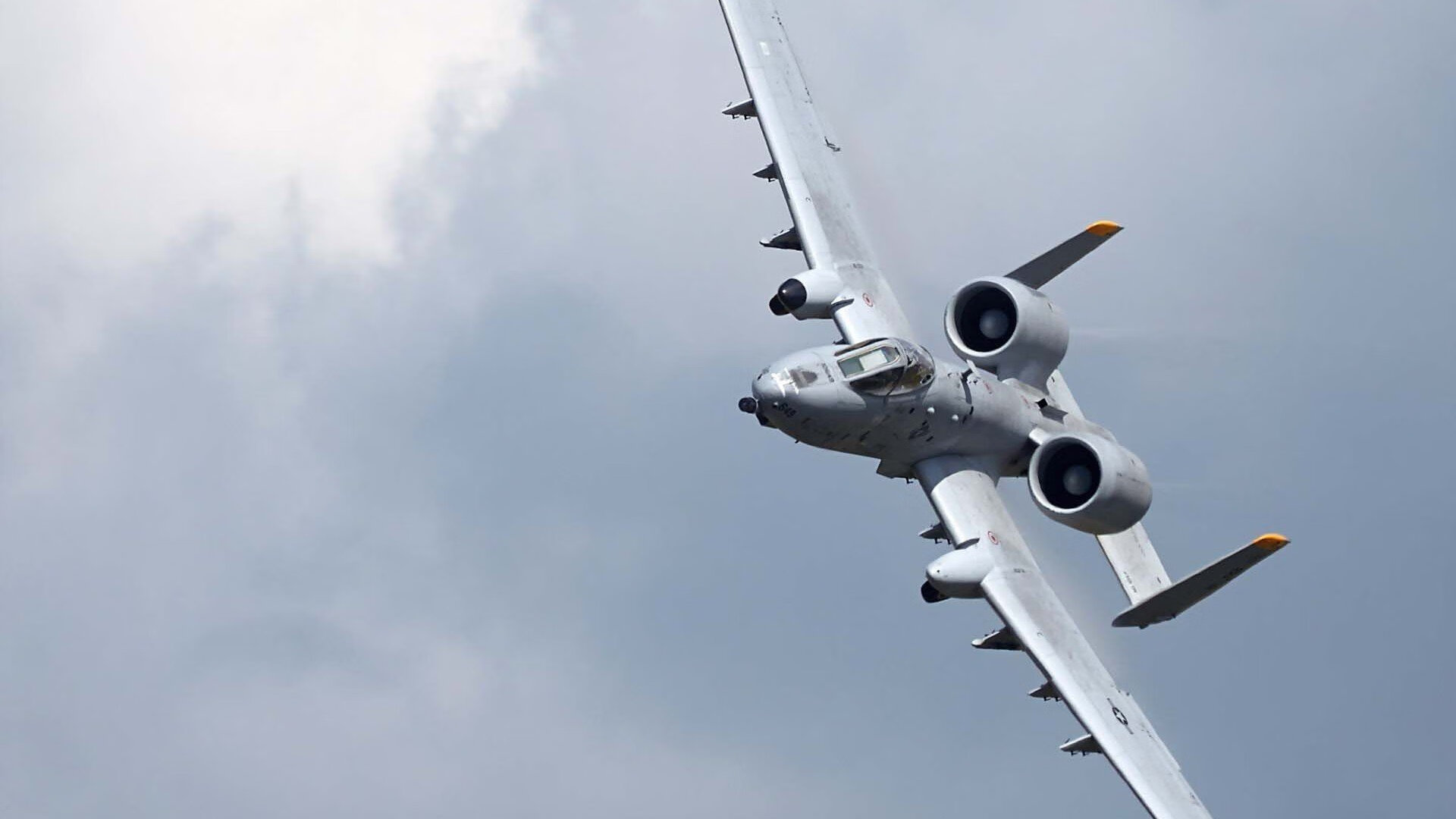 皮特·斯图斯领衔南非防线,带领羚羊队冲击冠军