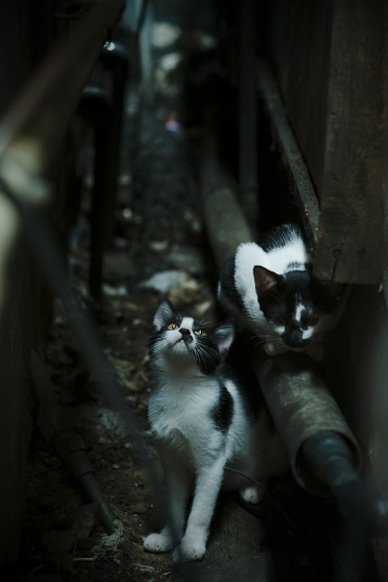 艾哈迈德冲刺阶段发力不减,艾哈迈德是姓氏吗