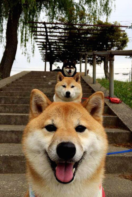 英超冠军悬念不断:精彩激烈的拼抢!,英超争冠